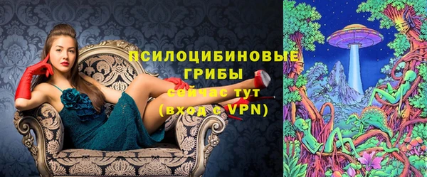 экстази Арсеньев